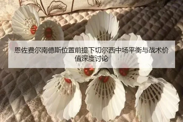 恩佐费尔南德斯位置前提下切尔西中场平衡与战术价值深度讨论